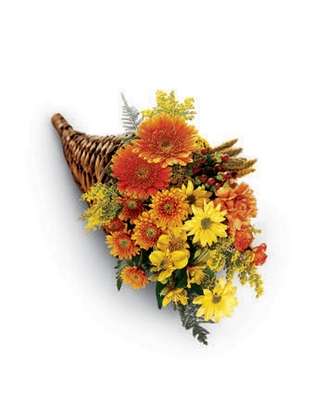 Bountiful Color Cornucopia from Flowers All Over.com 